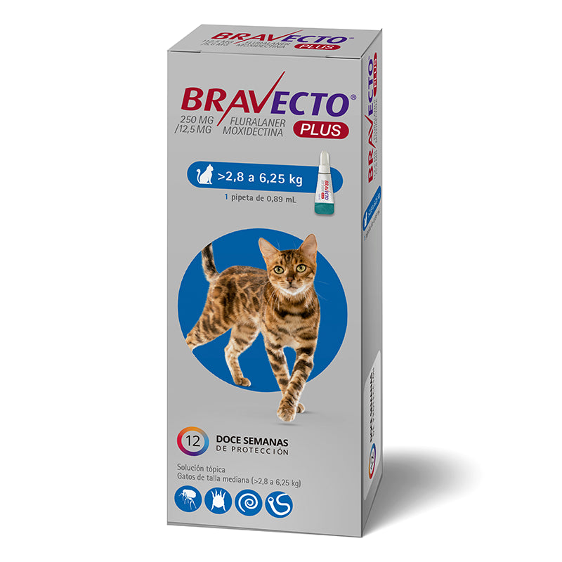 Bravecto para gato 2,8 a 6,25kg