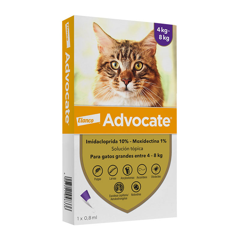 Advocate felino 4 a 8 kg
