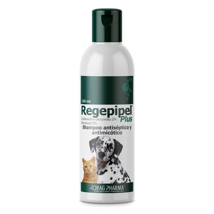 Regepipel Plus