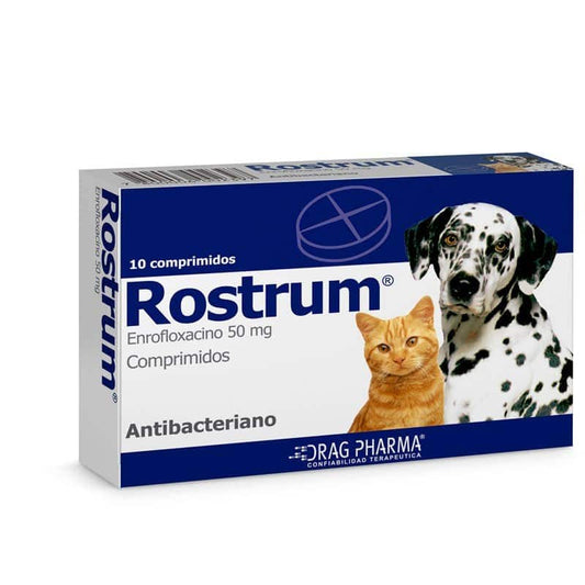 Rostrum comprimido