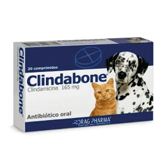 Clindabone