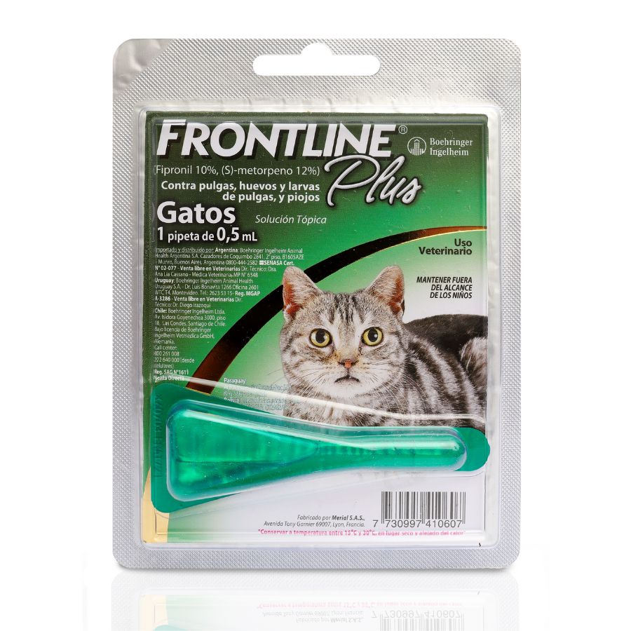 Frontline Gato