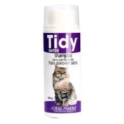 Tidy Shampoo Seco Perfumado